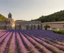 开云官方网站-法国杯赛程吃紧，浙江稠州今夜更衣室发声，态度坚定，训练强度明显提升(意大利杯赛程)
